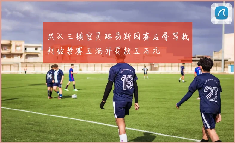 武汉三镇官员路易斯因赛后辱骂裁判被禁赛五场并罚款五万元