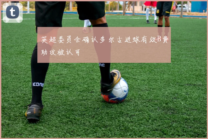 英超委员会确认多尔古进球有效B费助攻被认可