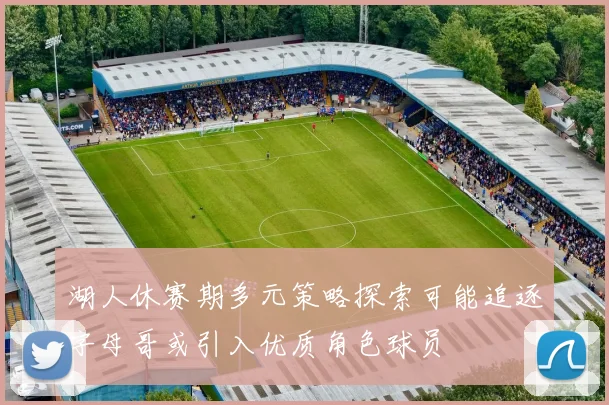 湖人休赛期多元策略探索可能追逐字母哥或引入优质角色球员